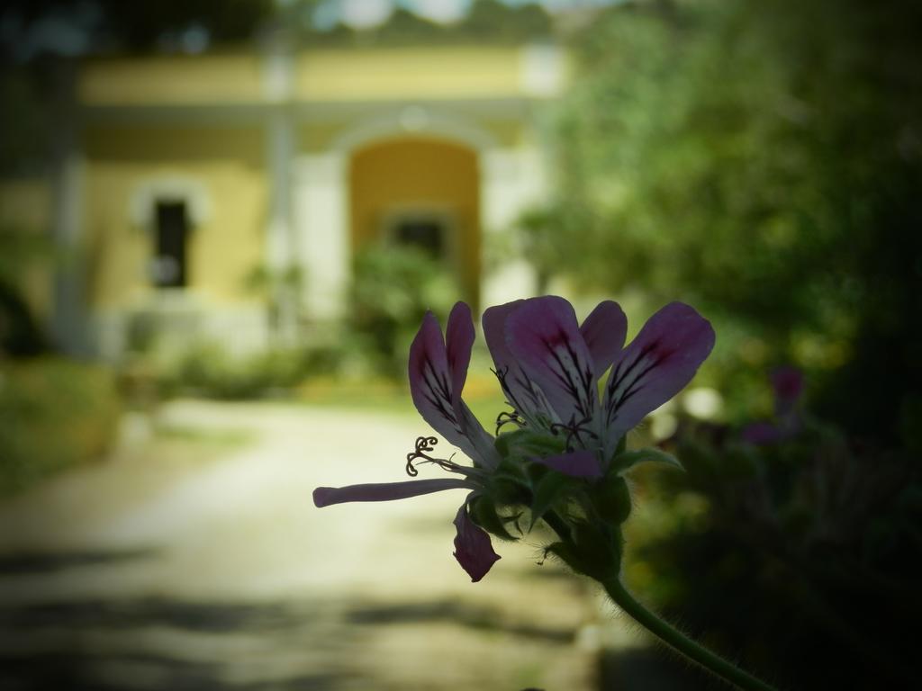 Hotel Dimora Relais Excelsa à Gallipoli Extérieur photo
